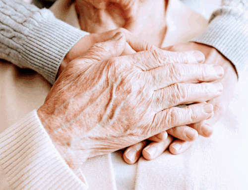 Un 2025 lleno de logros: el año en que Prefiero en Casa consolidó su crecimiento sin perder su esencia